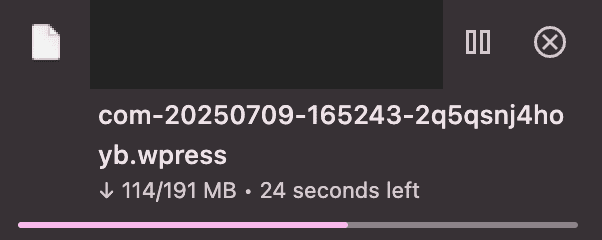 downloading the .wpress file